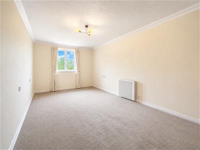 Picture 14